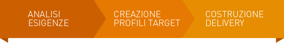 ANALISI ESIGENZE - PROFILAZIONE PROFILI TARGET - COSTRUZIONE DELIVERY